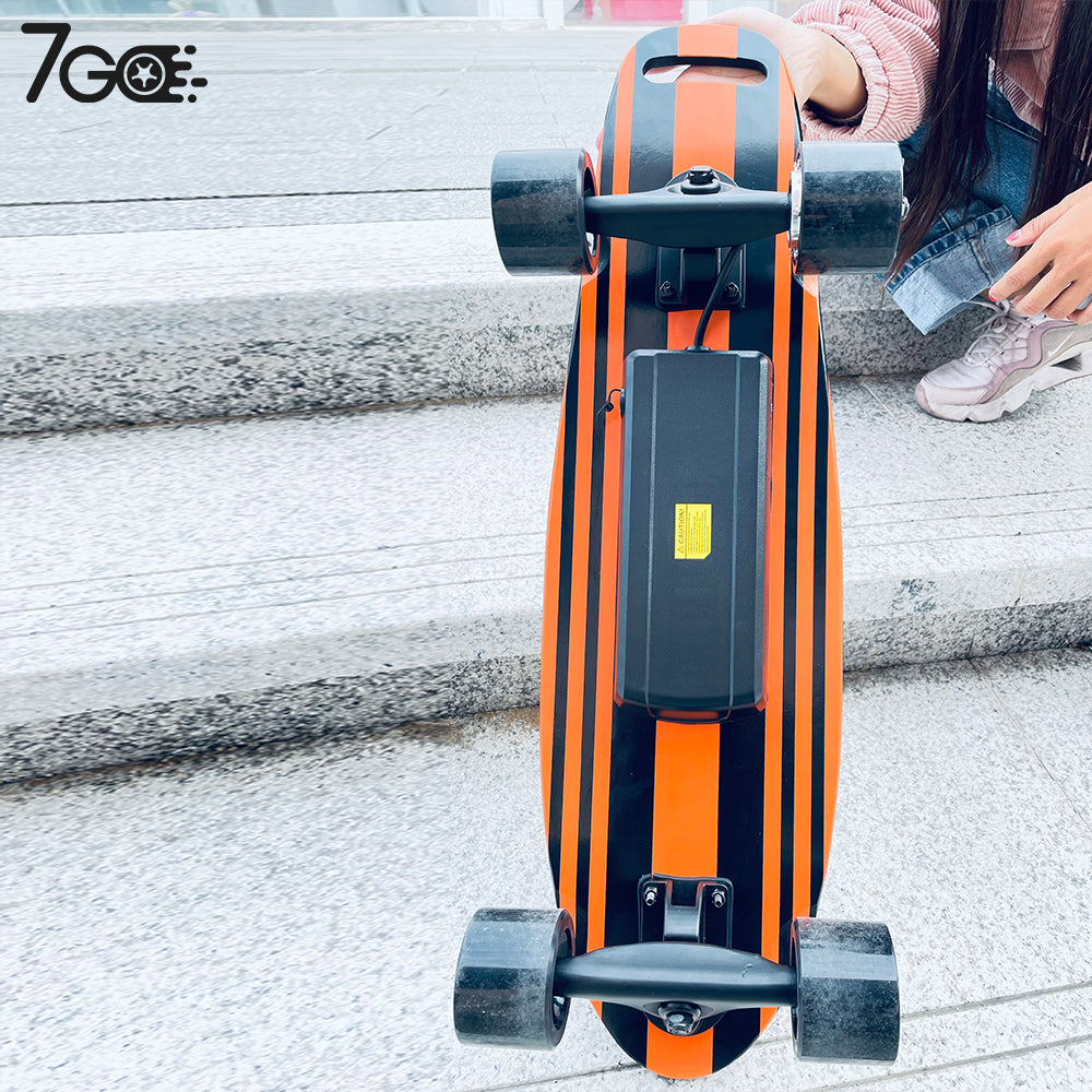 Dual Motor Electric mini Skateboards