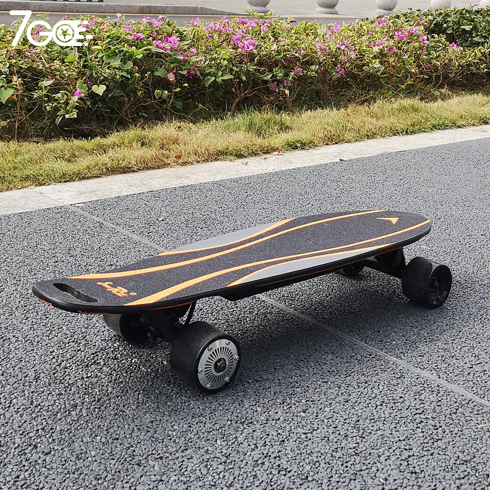 Dual Motor Electric mini Skateboards